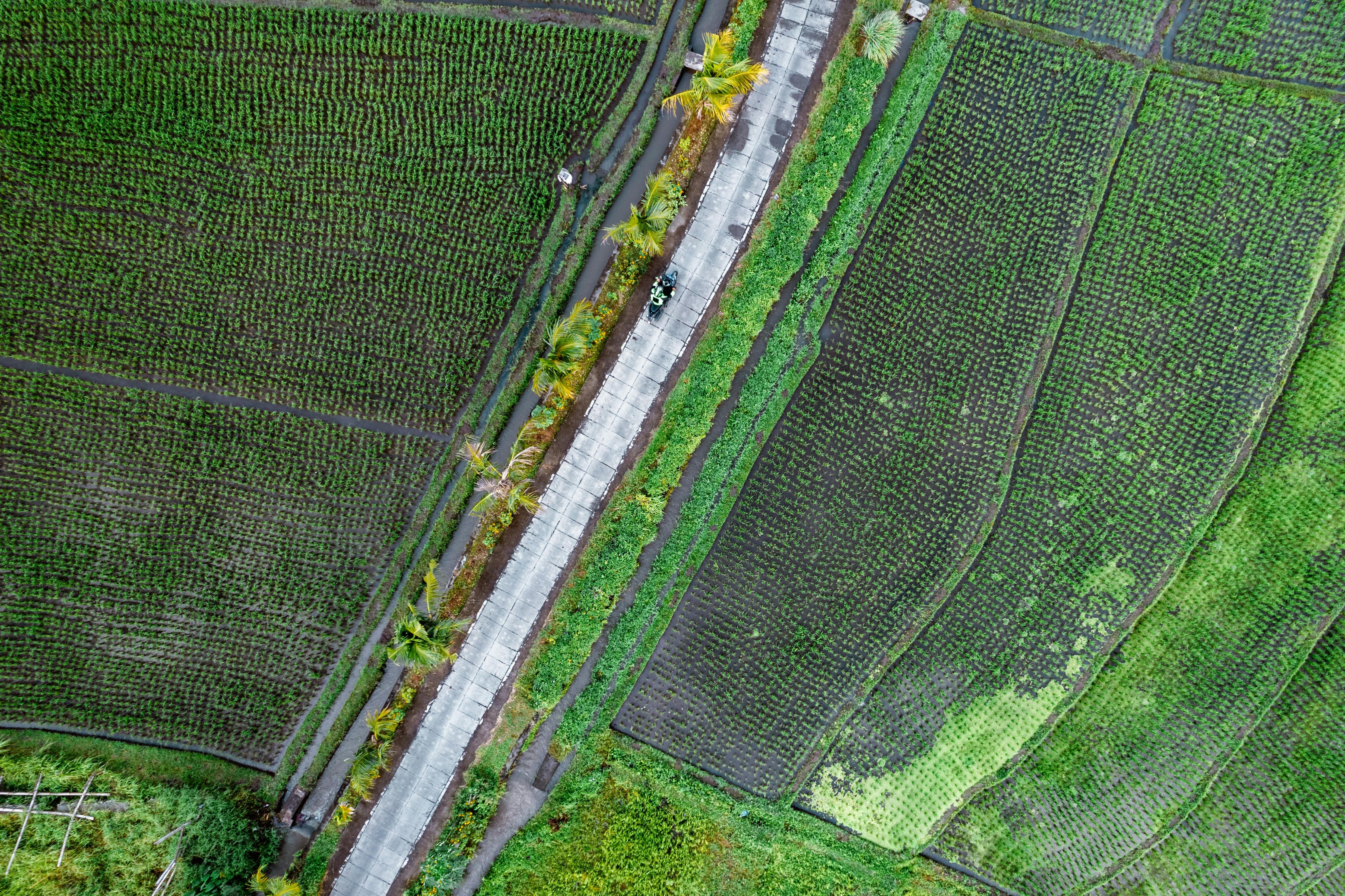 Environmental Stewardship