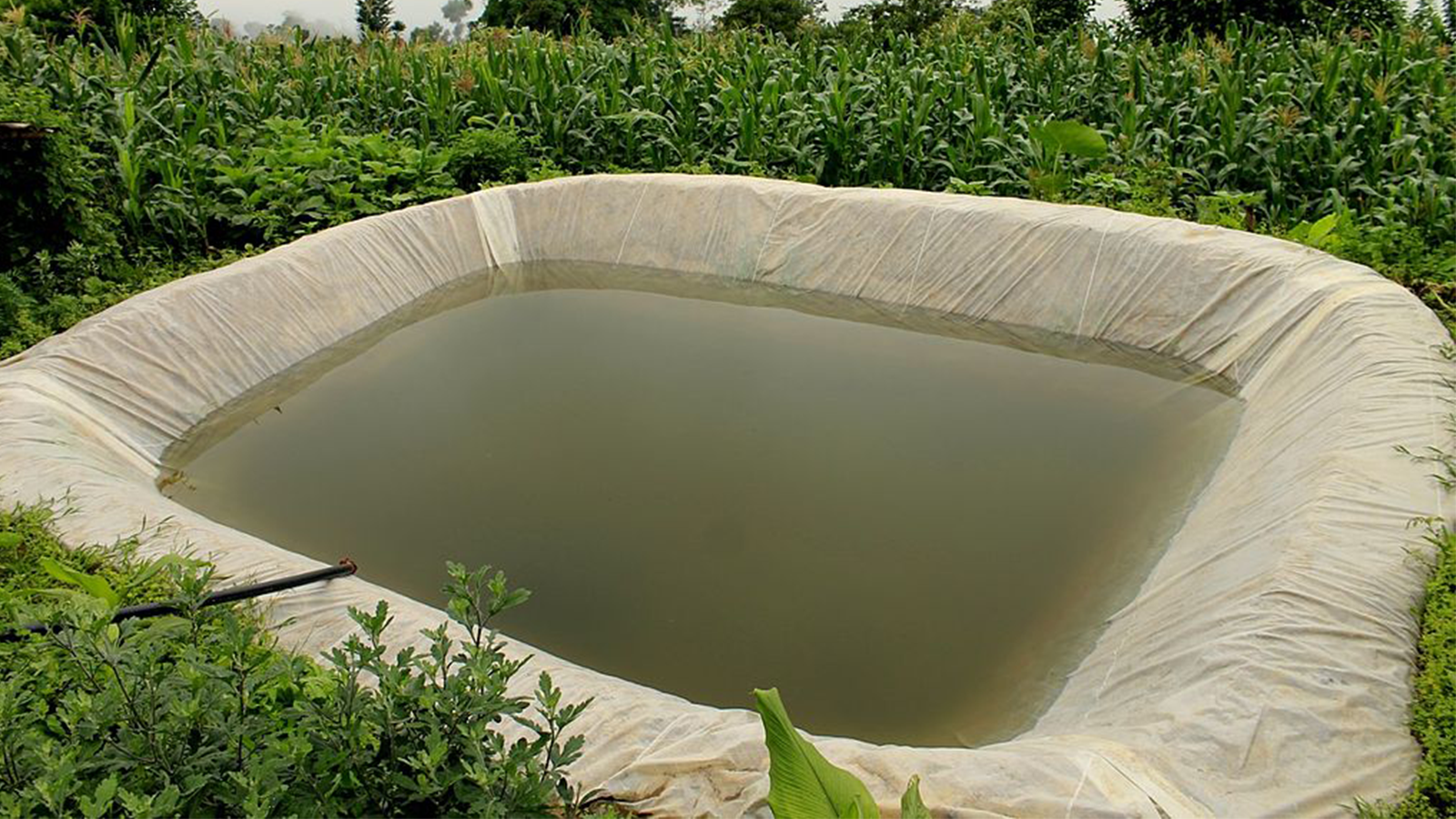 Rainwater Harvesting