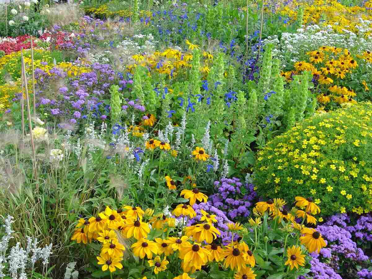 Biodiversity